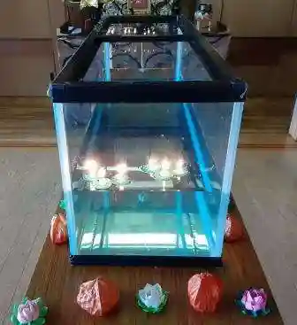 西方山極楽寺(岐阜県)