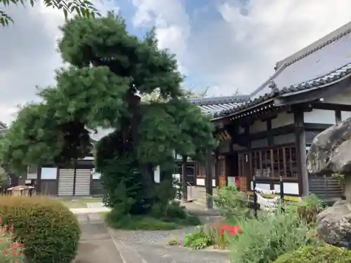 長泉寺のその他建物