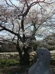 威徳院 極楽寺の自然