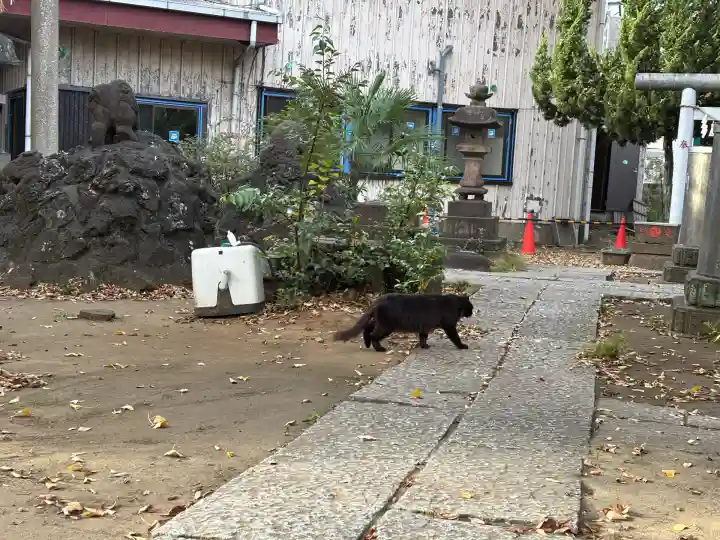 今井神社(千葉県)