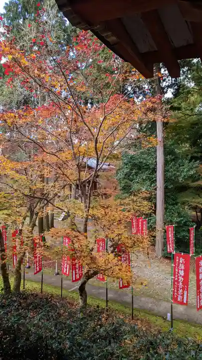 醍醐寺(京都府)