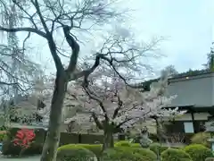 大公寺の庭園