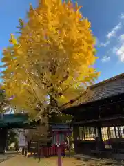 松ヶ崎大黒天 妙圓寺（妙円寺）(京都府)