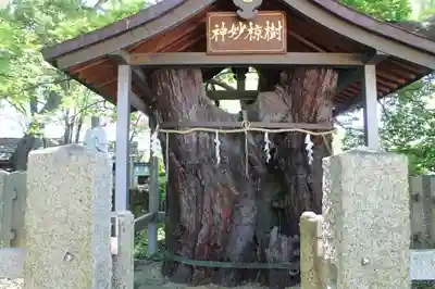 大聖勝軍寺のその他建物