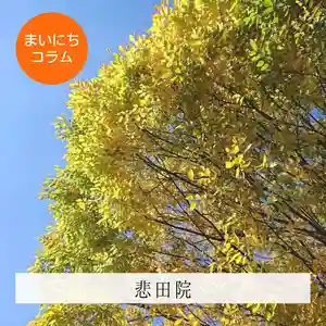 壽徳寺 じゅとくじ(福島県)(2022年09月19日(月) 22時00分44秒投稿)