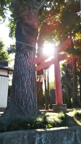 北小浜八幡神社の鳥居