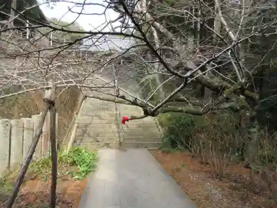 熊谷寺(徳島県)