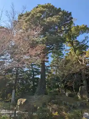 城南宮(京都府)