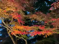 東漸寺(千葉県)