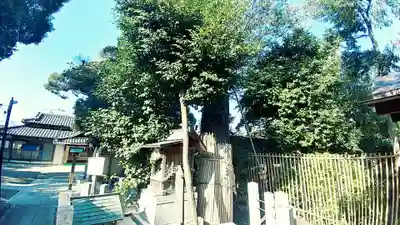 伊奴神社(愛知県)