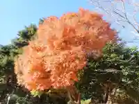 三石山観音寺(千葉県)