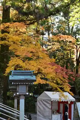 大神神社(奈良県)