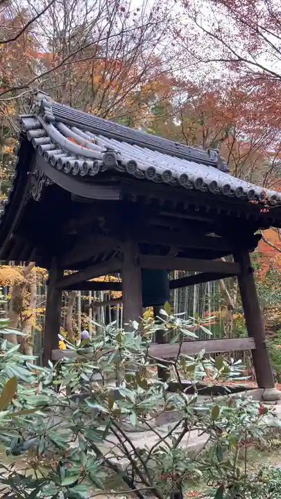 圓光寺(京都府)