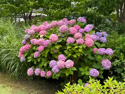 三囲神社（三圍神社）日本橋摂社(東京都)