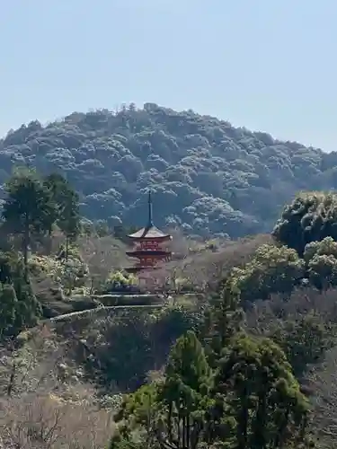 清水寺の景色