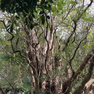 権現坂祠(神奈川県)