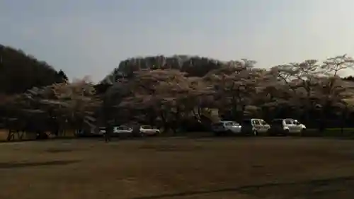 賀茂神社の周辺