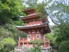 三室戸寺(京都府)