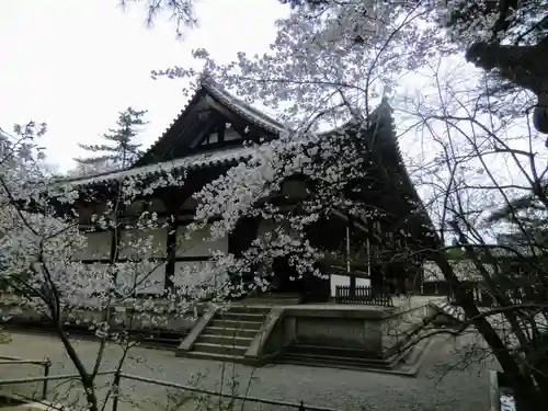唐招提寺(奈良県)