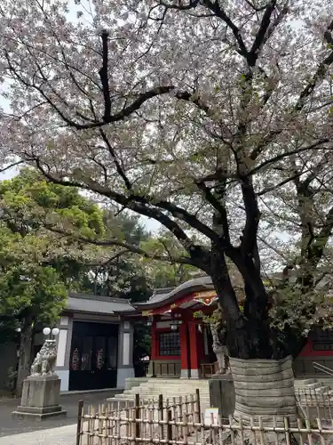 旗岡八幡神社(東京都)
