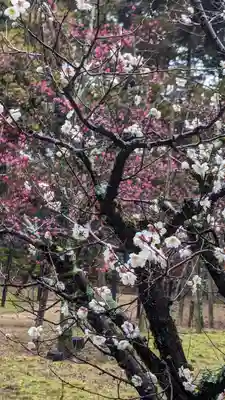 長岡天満宮(京都府)
