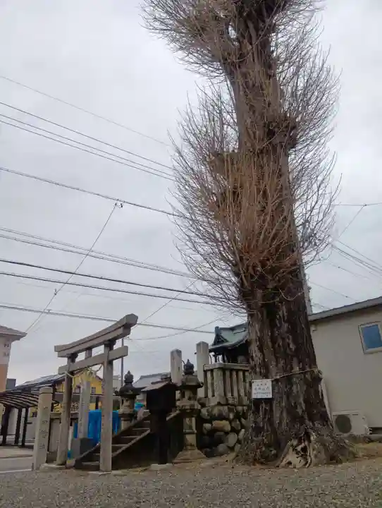 秋葉神社(岐阜県)