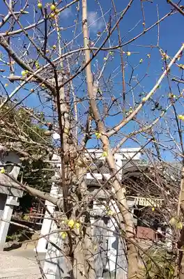 比佐豆知神社(三重県)
