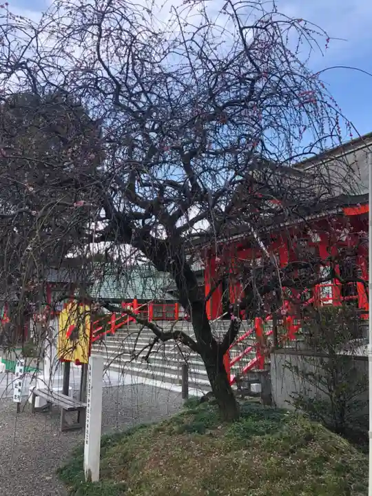 箱崎八幡神社の庭園