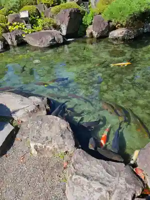 甲斐善光寺の庭園