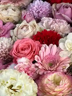 玉前神社(千葉県)