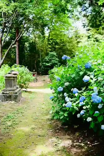 浄土寺の御朱印