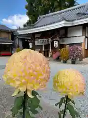 水堂須佐男神社の自然