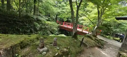 三千院門跡(京都府)