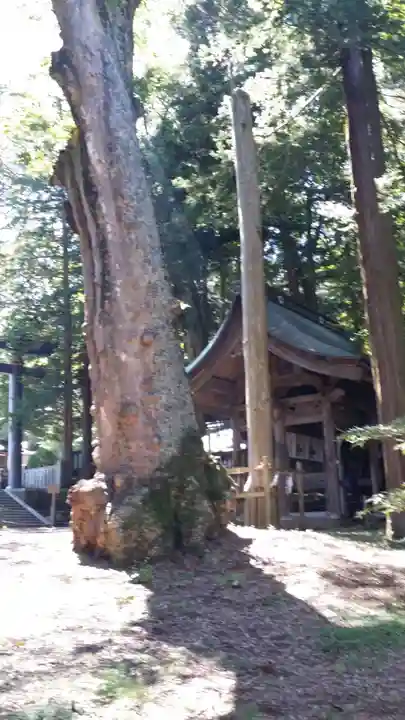 諏訪大社の自然