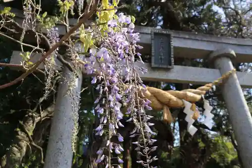 春日神社の景色