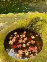 圓教寺(兵庫県)