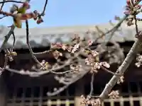 伊勢の国 四天王寺(三重県)