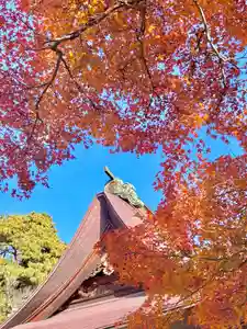 蚊里田八幡宮(長野県)(2025年11月15日(土) 13時31分13秒投稿)