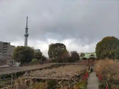 亀戸天神社(東京都)
