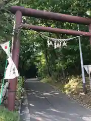 上手稲神社の鳥居