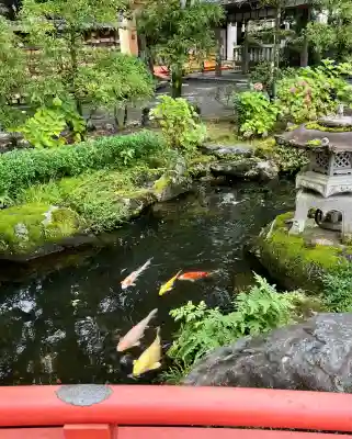 大井神社(静岡県)