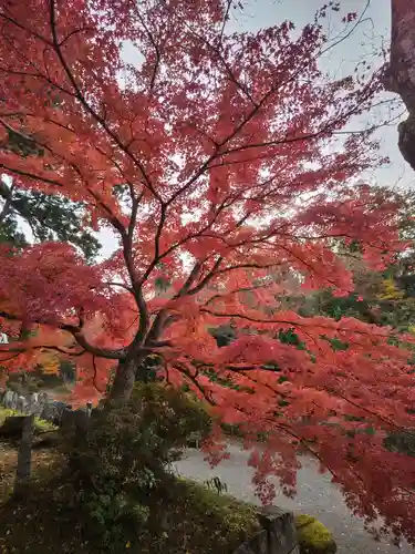 普門院（文知摺観音）(福島県)
