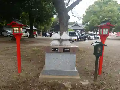 箭弓稲荷神社の{uncategorized: "未分類", other: "その他", undefined: "問題あり", building: "その他建物", grave: "お墓", sacred_gate: "鳥居", guardian: "狛犬", statue: "像", buddha: "仏像", history: "歴史", nature: "自然", garden: "庭園", animal: "動物", pagoda: "塔", temizu: "手水舎", mountain_gate: "山門・神門", sanctuary: "本殿・本堂", subordinate: "末社・摂社", art: "芸術", scenery: "景色", jizo: "地蔵", ema: "絵馬", goshuin: "御朱印", omikuji: "おみくじ", items: "授与品その他", amulet: "お守り", goshuincho: "御朱印帳", eats: "食事", festival: "お祭り", votive_dance: "神楽", shichigosan: "七五三参", wedding: "結婚式", experience: "体験その他", initially: "初詣", around: "周辺", anti_infection: "感染症対策"}