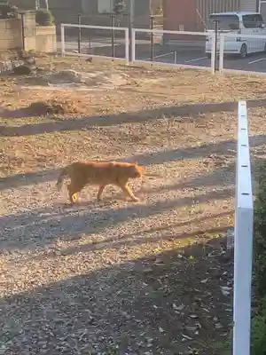 密蔵院(愛知県)