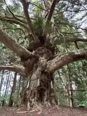 真山神社(秋田県)