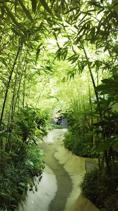 來宮神社の自然