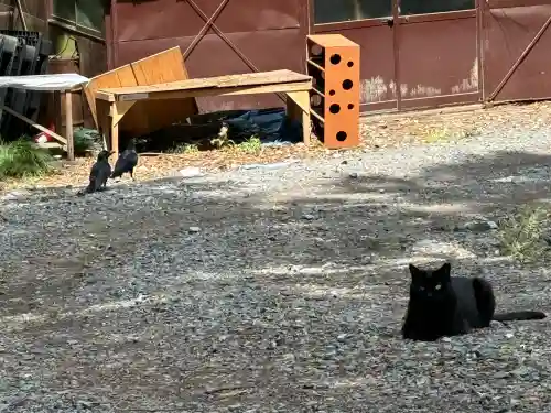 唐澤山神社(栃木県)