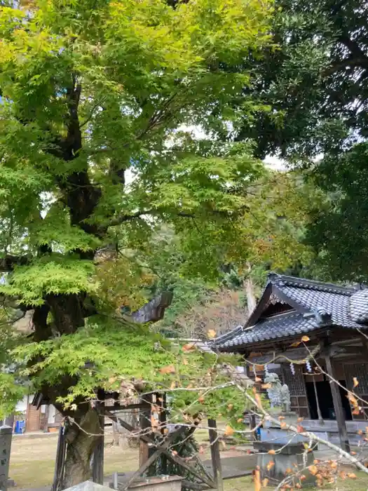 伊福部神社の建物その他