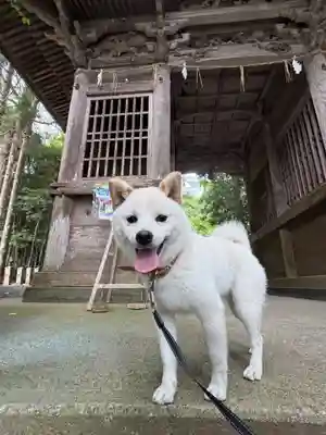 彦嶽宮の御朱印