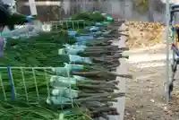 大福田寺(三重県)